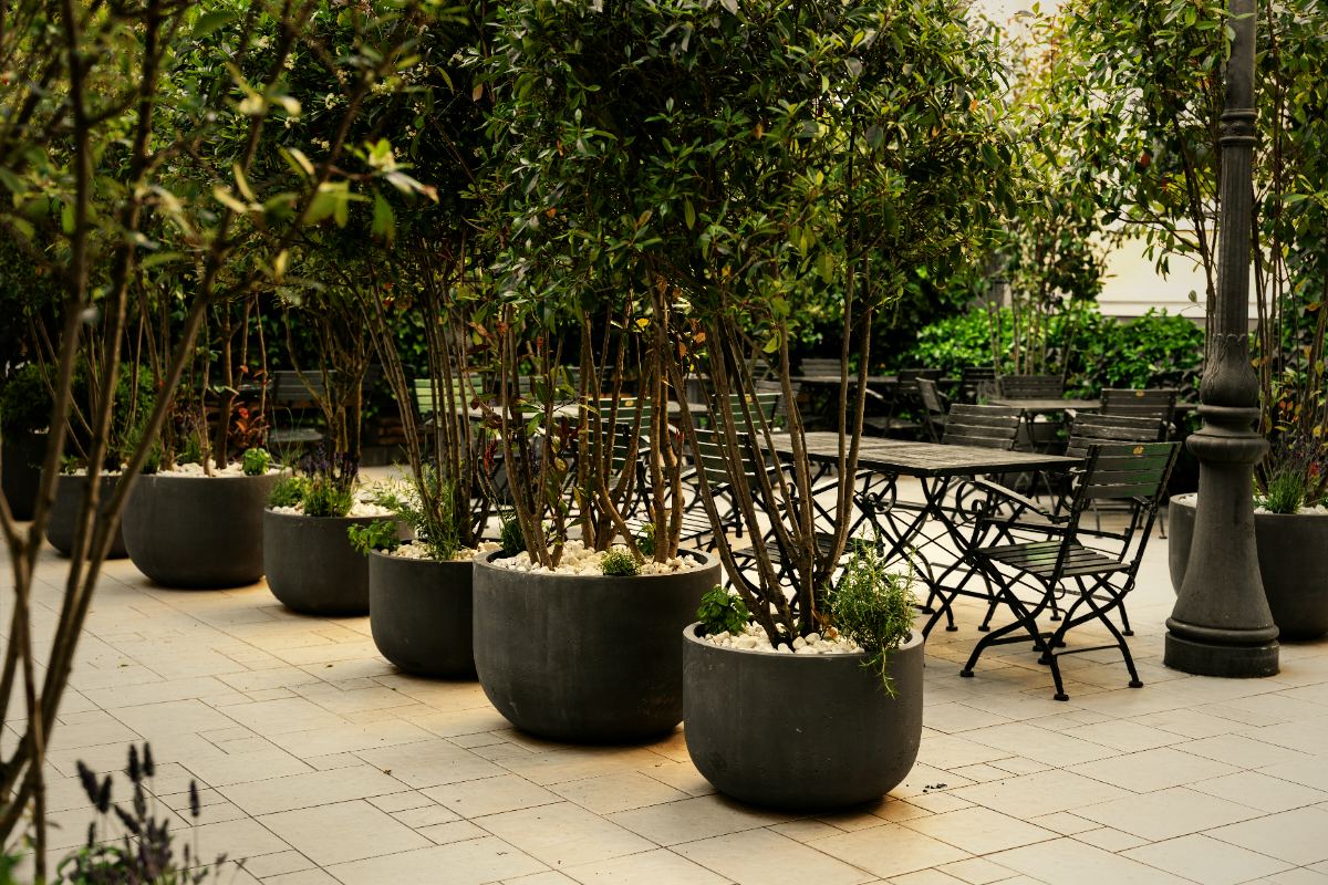 The Castellum courtyard, hidden from Hebrangova